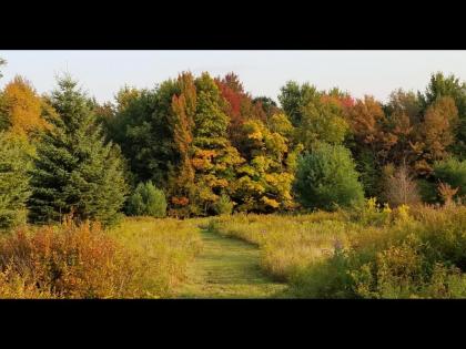 Tentrr Signature - Pastoral Paths at Little Farm Too - image 4