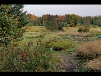 Tentrr Signature - Pastoral Paths at Little Farm Too - image 7