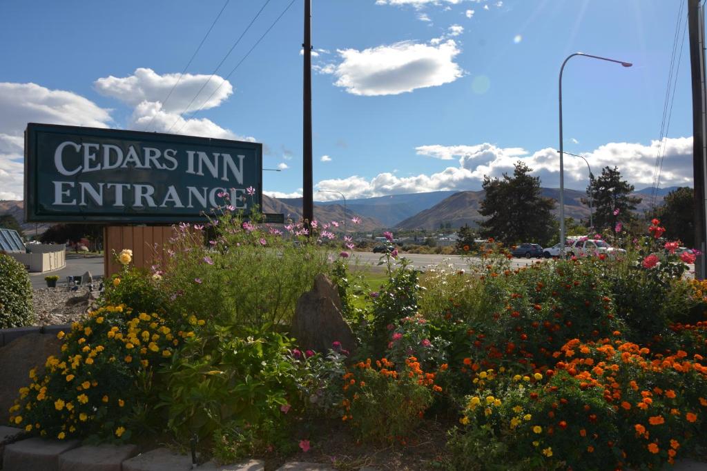 Cedars Inn - image 5