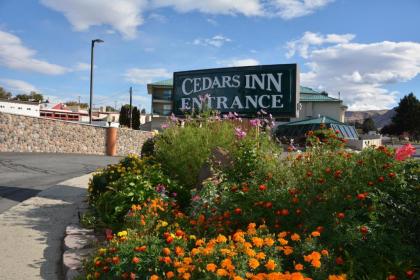 Cedars Inn - image 8