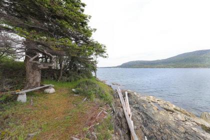 Lohman Lookout - image 3