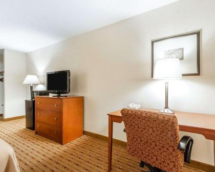 Quality Inn & Suites - image 10