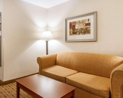 Quality Inn & Suites - image 12