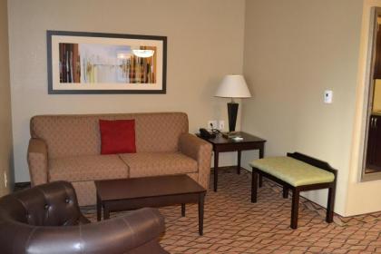 Holiday Inn Eau Claire South an IHG Hotel - image 10