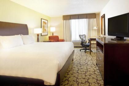 Hilton Garden Inn Minneapolis/Eden Prairie - image 10