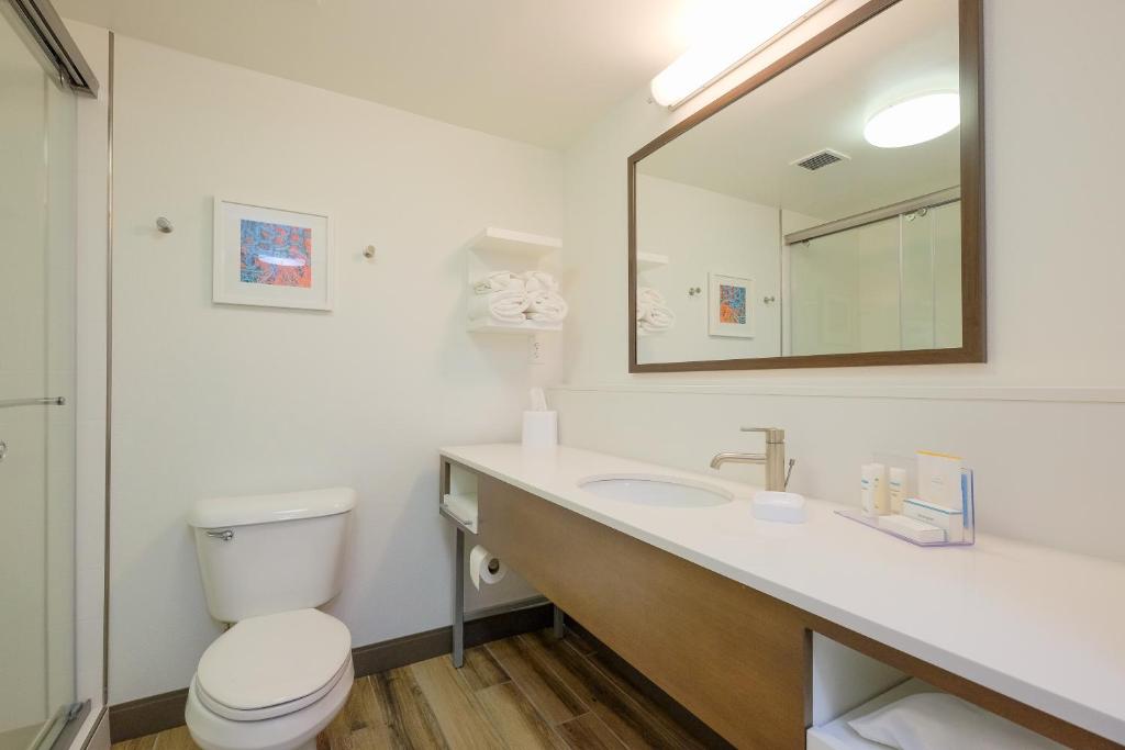 Hampton Inn Edenton - image 6