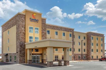 Comfort Inn & Suites - image 2