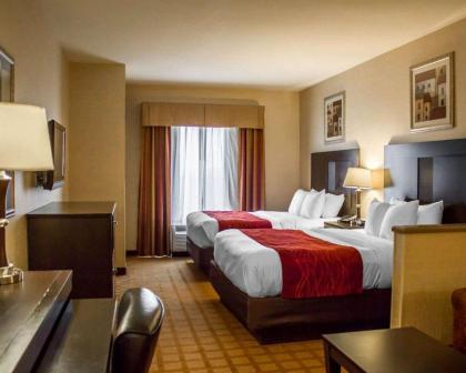 Comfort Suites Edinboro - image 10