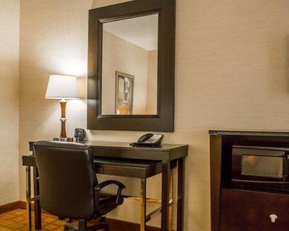 Comfort Suites Edinboro - image 7