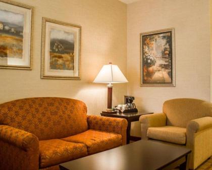 Comfort Suites Edinboro - image 8