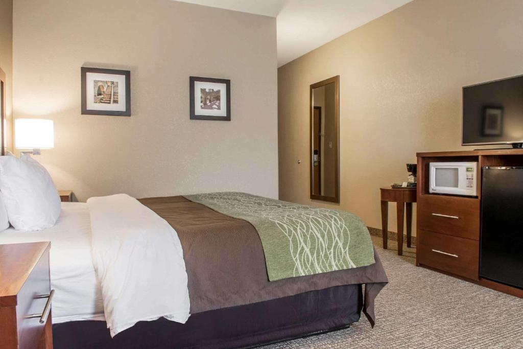 Comfort Inn Edinburg South - main image