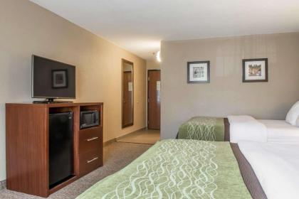 Comfort Inn Edinburg South - image 11