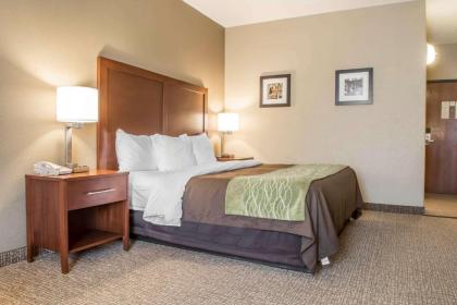 Comfort Inn Edinburg South - image 15