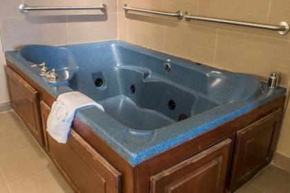 Comfort Inn Edinburg South - image 6