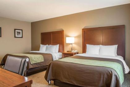 Comfort Inn Edinburg South - image 9