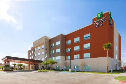 Holiday Inn Express & Suites Edinburg- Mcallen Area an IHG Hotel - image 12