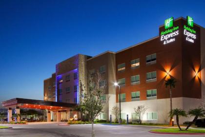 Holiday Inn Express & Suites Edinburg- Mcallen Area an IHG Hotel - image 6