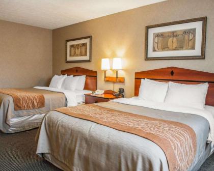 Comfort Inn Near Indiana Premium Outlets - image 14