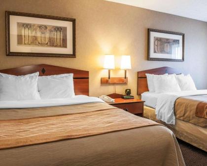 Comfort Inn Near Indiana Premium Outlets - image 4