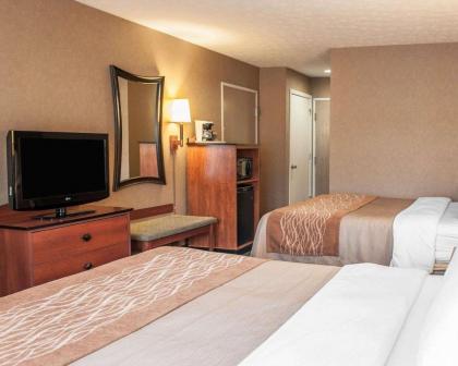 Comfort Inn Near Indiana Premium Outlets - image 5