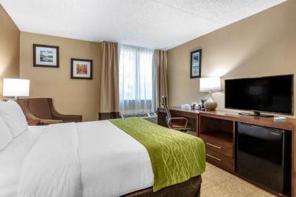 Comfort Inn Edison - New Brunswick - image 13