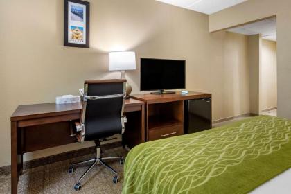 Comfort Inn Edison - New Brunswick - image 15