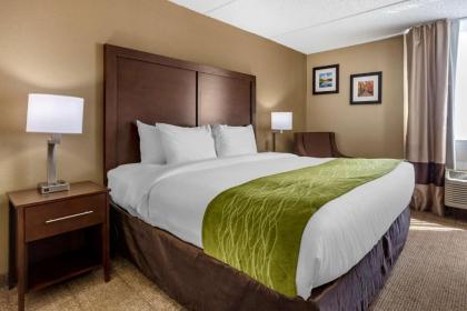 Comfort Inn Edison - New Brunswick - image 16