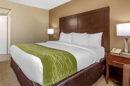 Comfort Inn Edison - New Brunswick - image 18