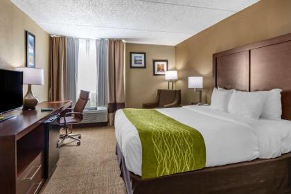 Comfort Inn Edison - New Brunswick - image 19