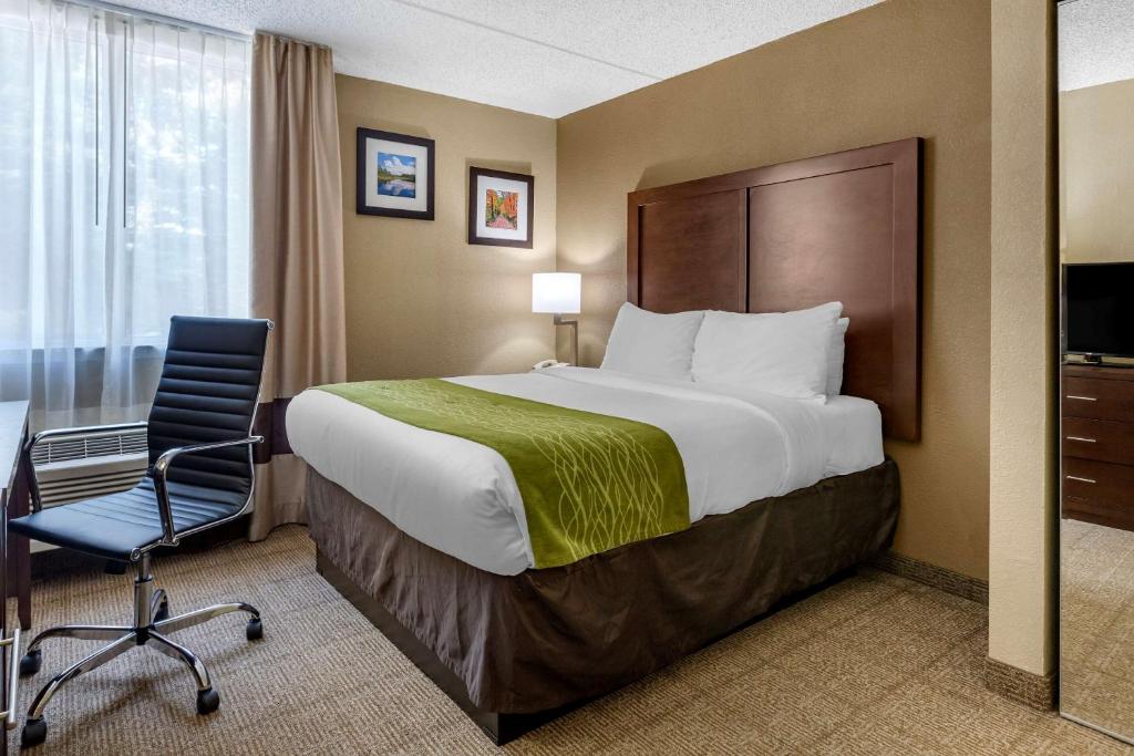 Comfort Inn Edison - New Brunswick - image 6