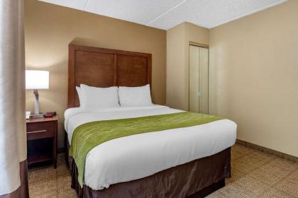 Comfort Inn Edison - New Brunswick - image 8