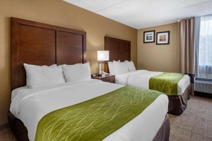 Comfort Inn Edison - New Brunswick - image 9