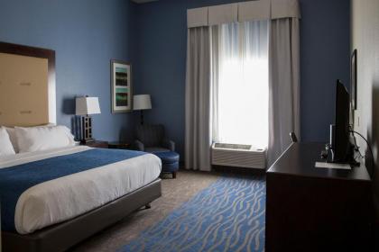 Holiday Inn Express and Suites Edwardsville an IHG Hotel - image 3