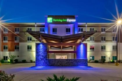 Holiday Inn Express & Suites - Effingham an IHG Hotel - image 8