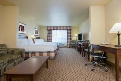 Holiday Inn Express Hotel & Suites El Dorado an IHG Hotel - image 10