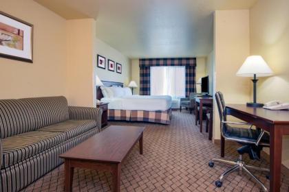 Holiday Inn Express Hotel & Suites El Dorado an IHG Hotel - image 8