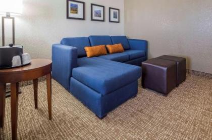 Comfort Suites El Paso Airport - image 5