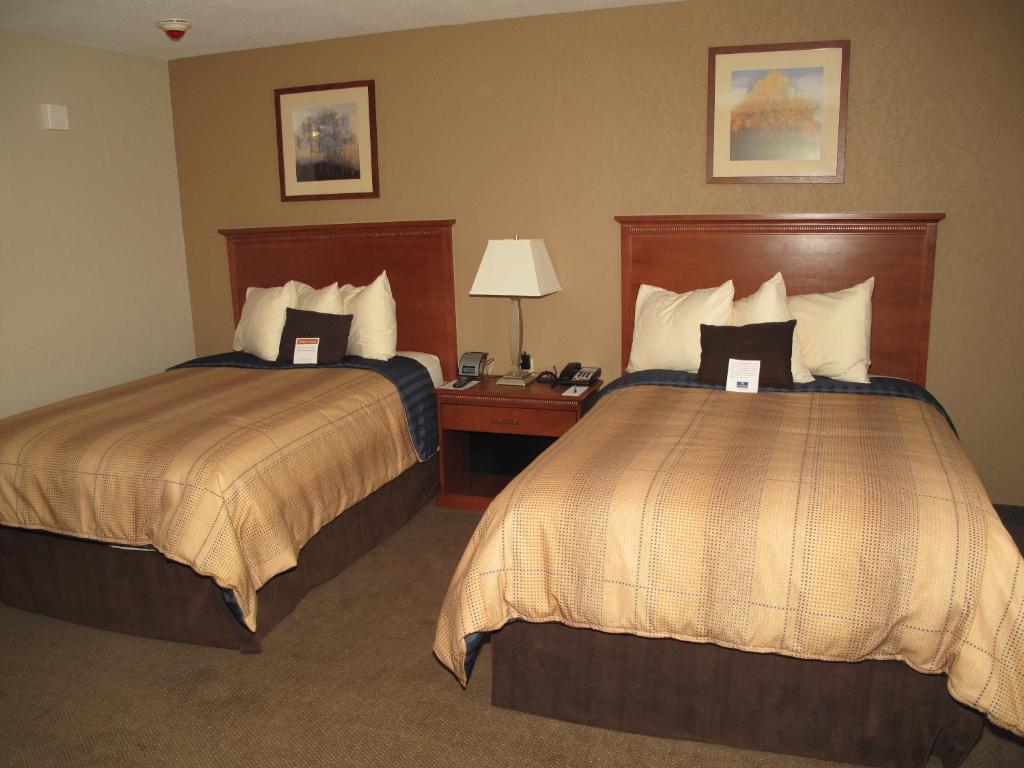 Candlewood Suites Elgin – Northwest Chicago an IHG Hotel - image 3