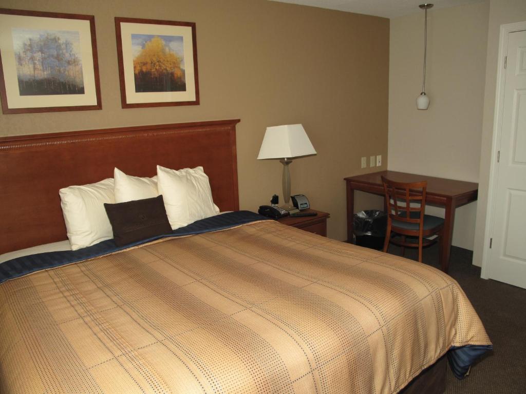 Candlewood Suites Elgin – Northwest Chicago an IHG Hotel - image 6