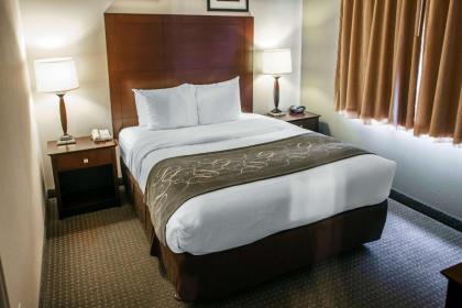 Comfort Suites Elgin - image 12