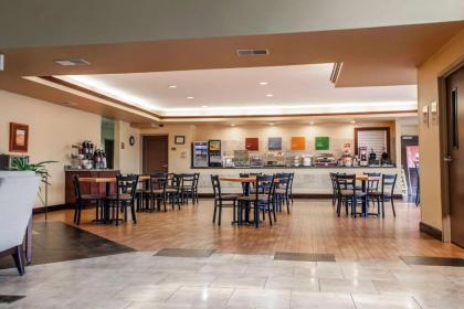 Comfort Suites Elgin - image 2