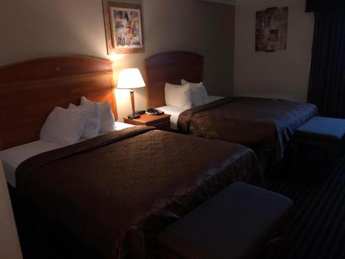 Lexington Inn & Suites-Elgin - image 7