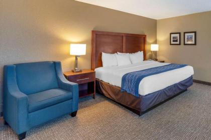 Comfort Inn Elizabeth City near University - image 14