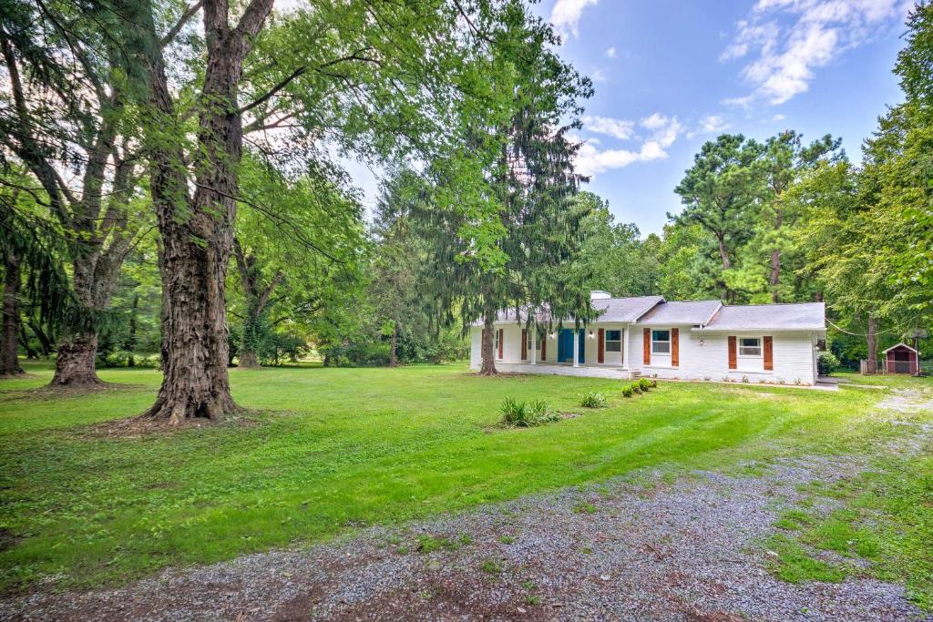 Renovated Home on Watauga River By Boat Ramp - image 3