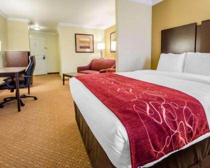 Comfort Suites Elizabethtown - image 12