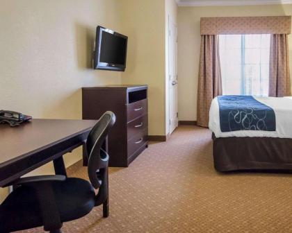 Comfort Suites Elizabethtown - image 15