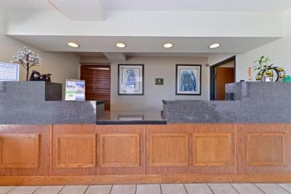 Executive Plus Inn and Suites - image 10