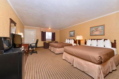 Executive Plus Inn and Suites - image 6