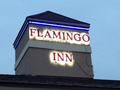 Flamingo Inn Daytona