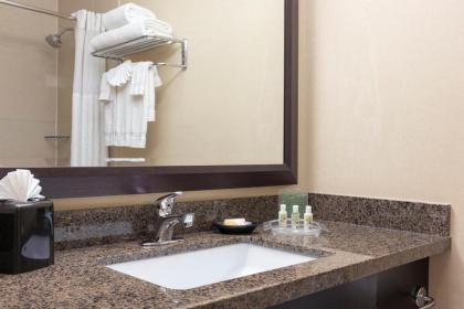 Holiday Inn Chicago - Elk Grove an IHG Hotel - image 10